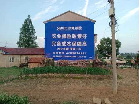 陇川墙体广告的优劣势你知道吗？