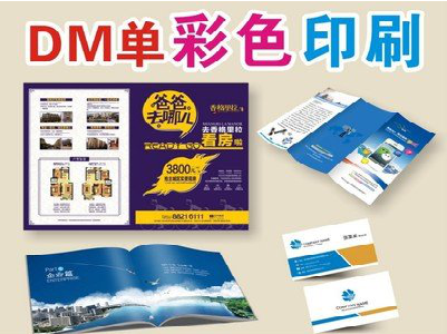 陇川单页印刷，色彩搭配简单。